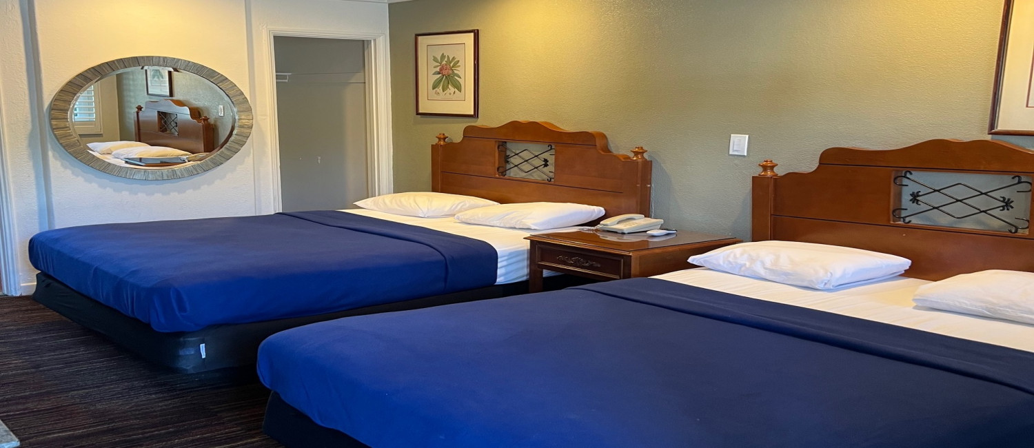 STAY IN OUR COMFORTABLE GUEST ROOMS FULL OF AMENITIES 